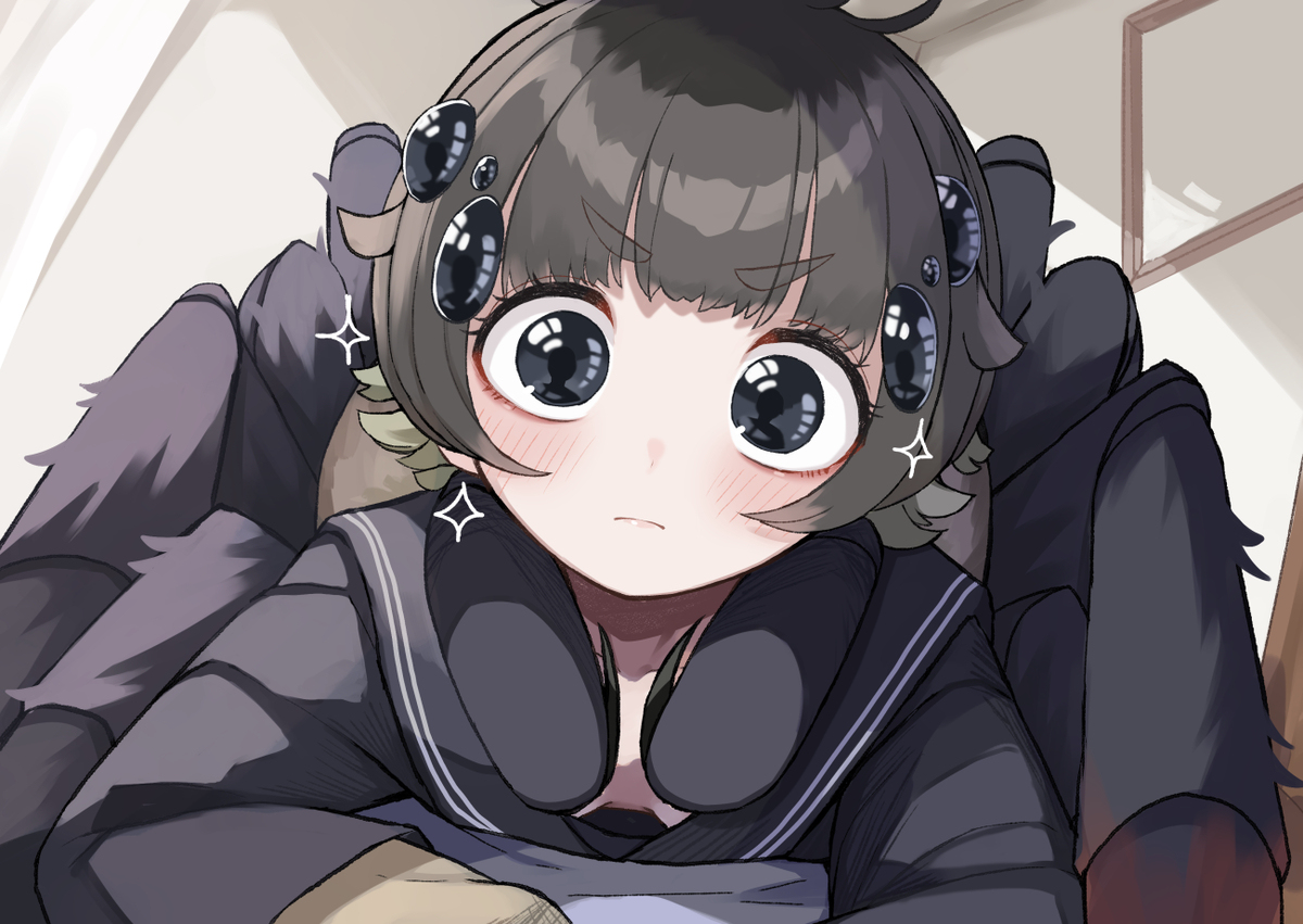 ハエトリグモちゃん