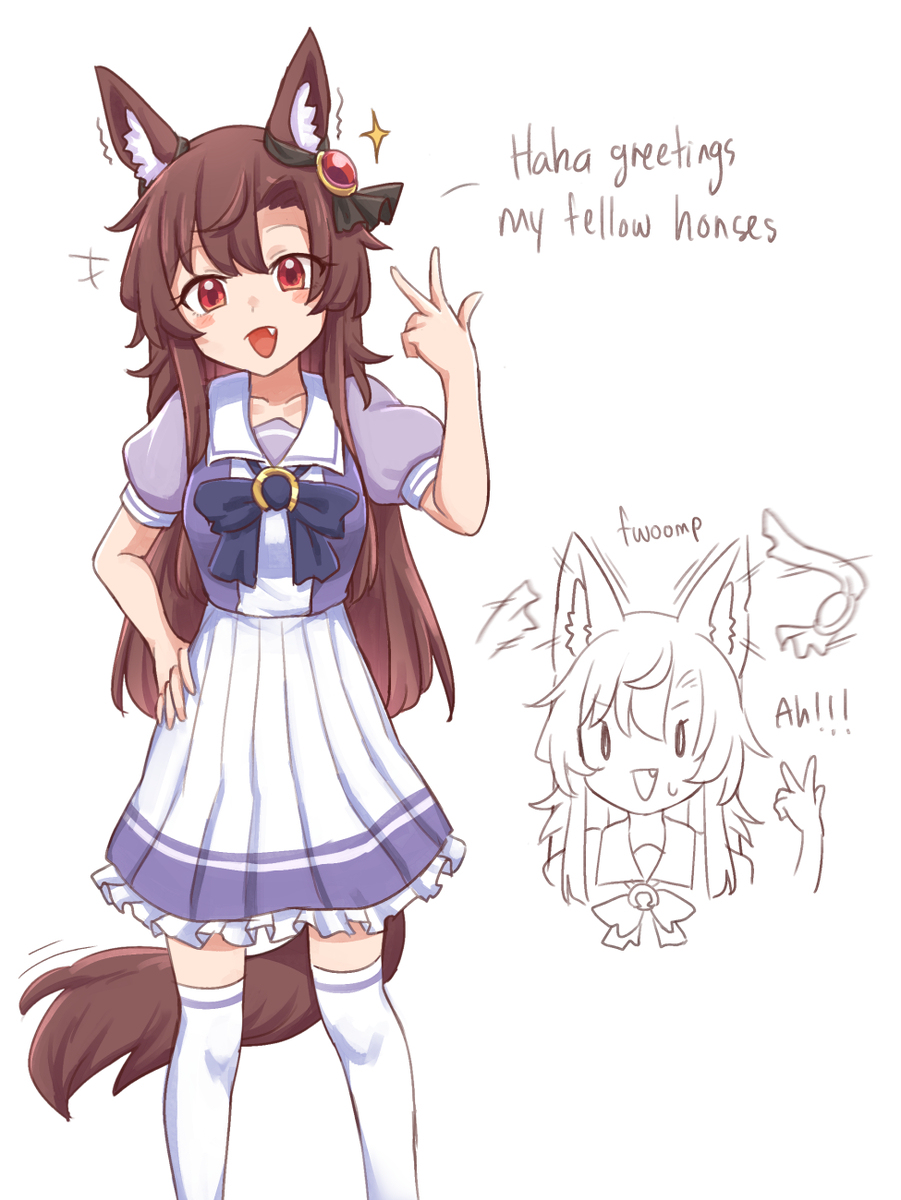 Horse's Clothing