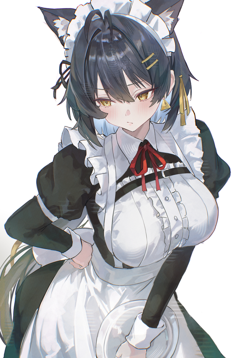 Maid Rover