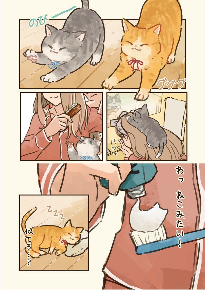 朝の身支度🐈🐾