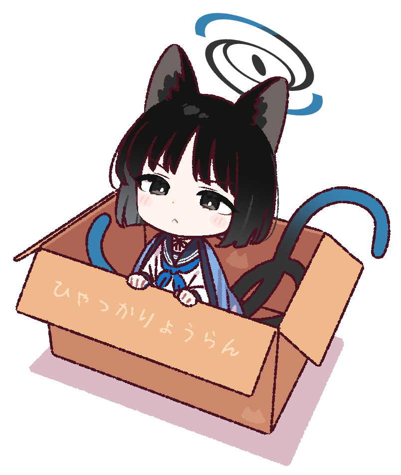 箱入りキキョウさん✨📦🐈‍⬛✨