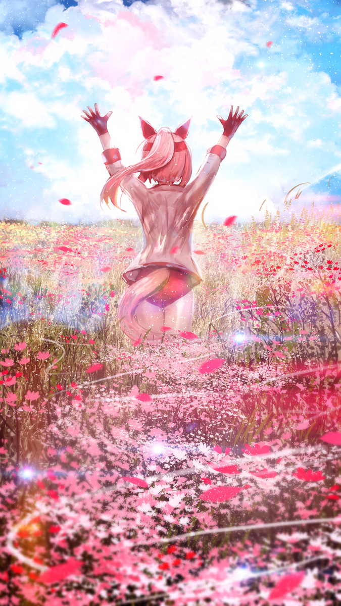 ハルウララ 🌸