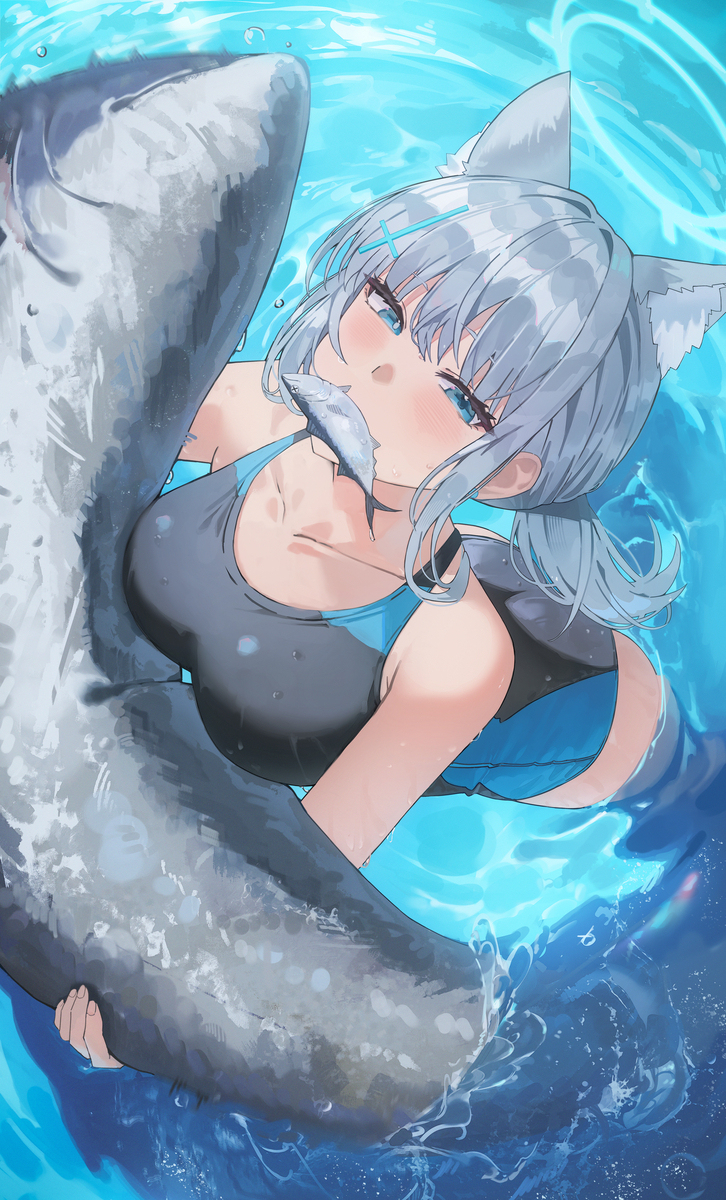 シロコ
