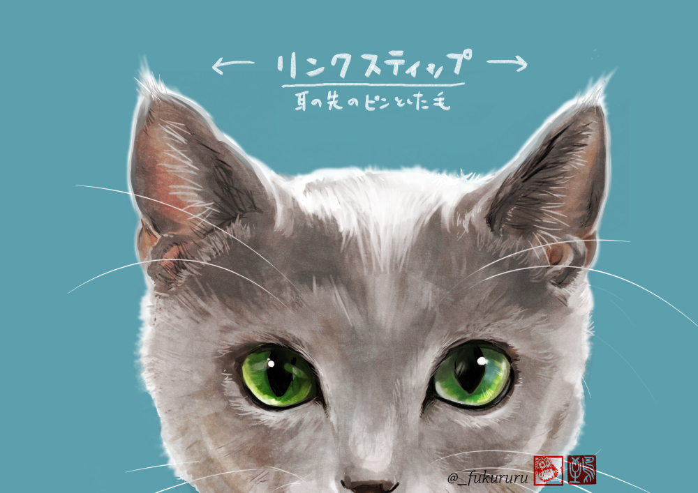 猫の「そんな名前だったのかわいいね」集