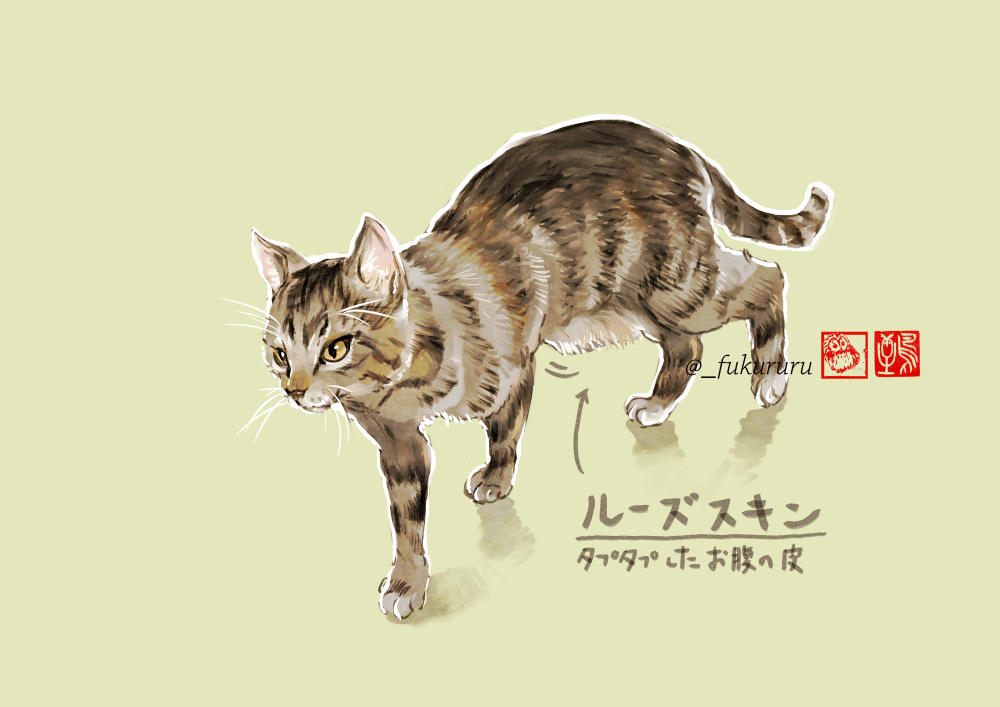 猫の「そんな名前だったのかわいいね」集