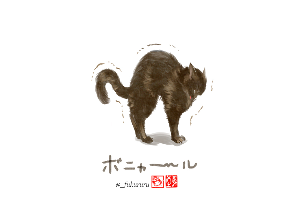 猫の「そんな名前だったのかわいいね」集