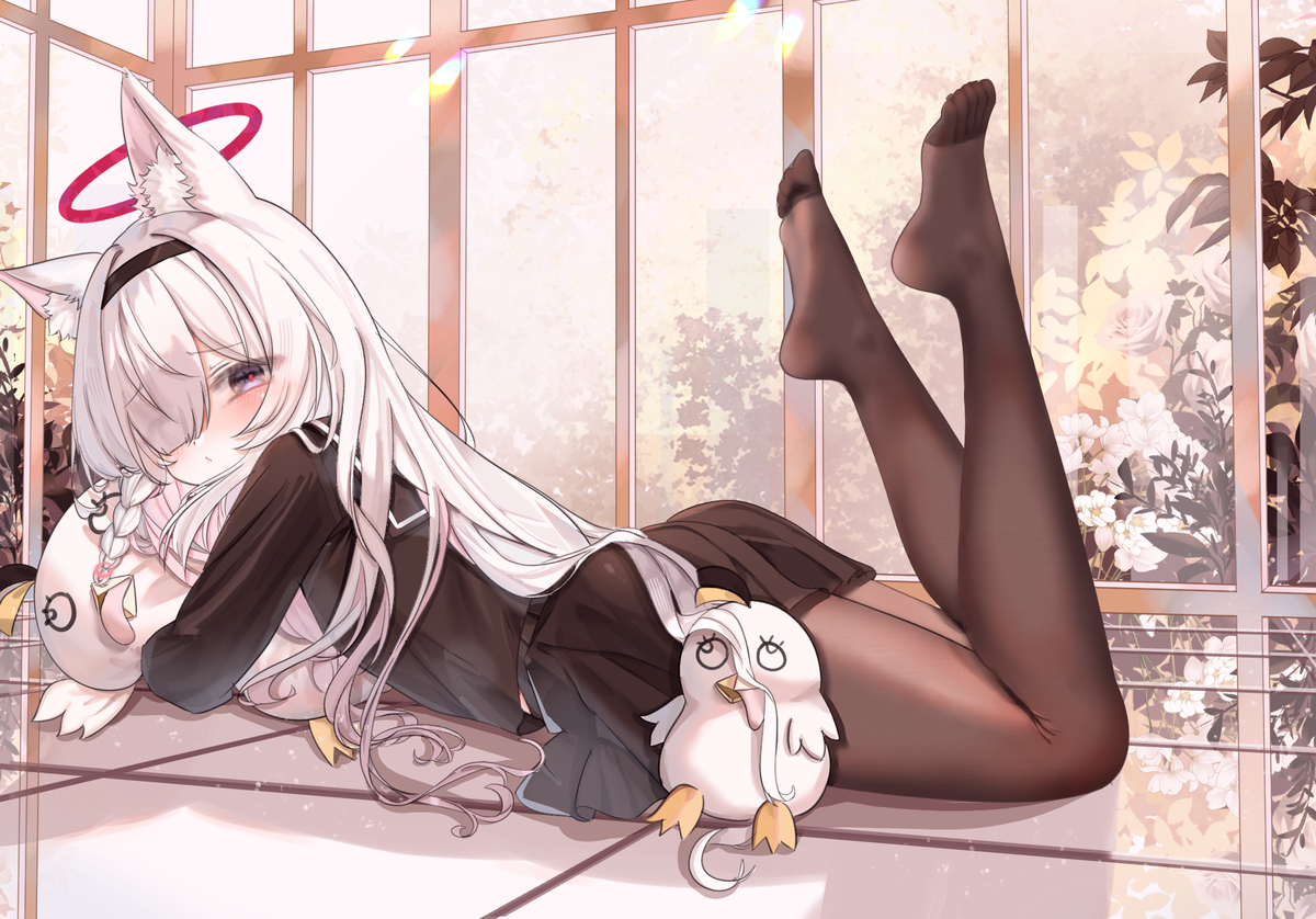 猫プラナ