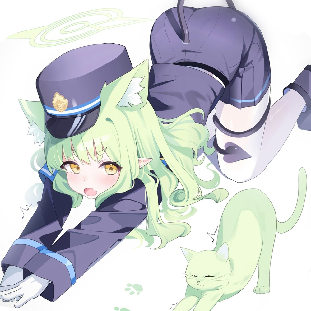 Tachibana hikari ( Cat )