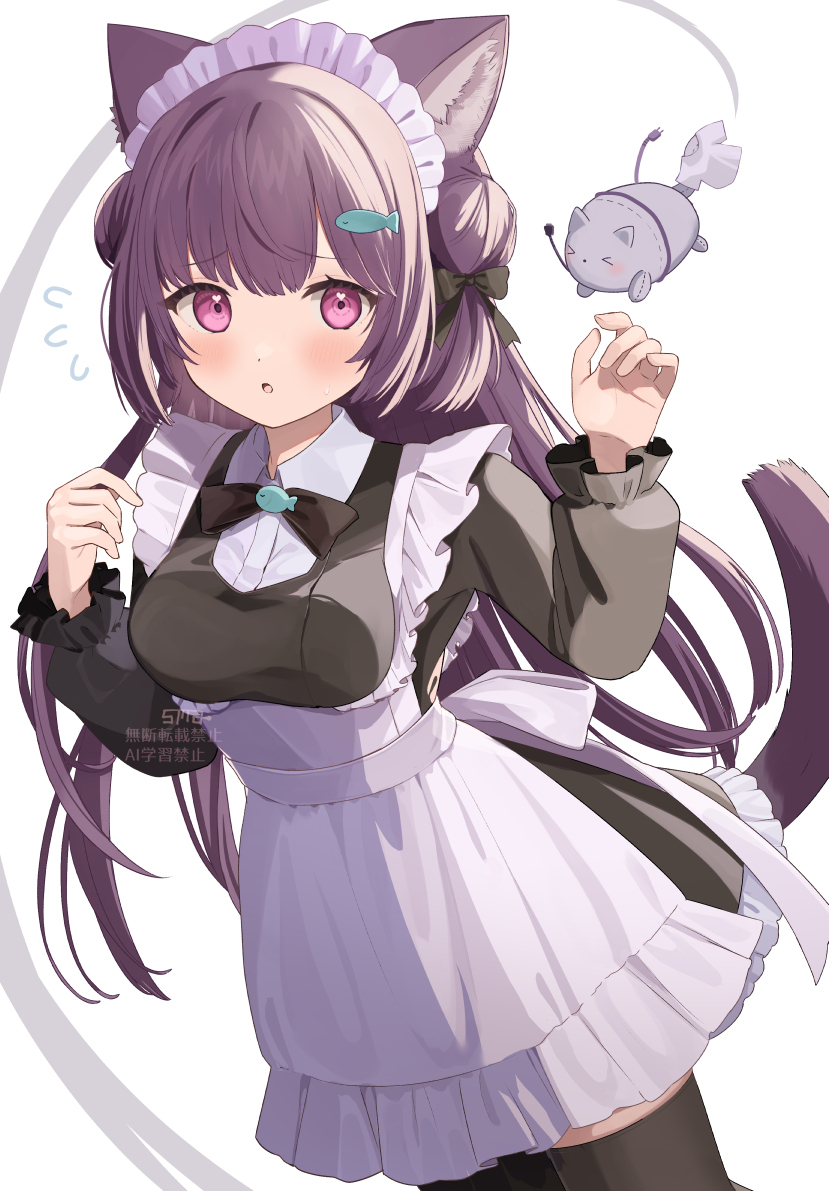 🐱