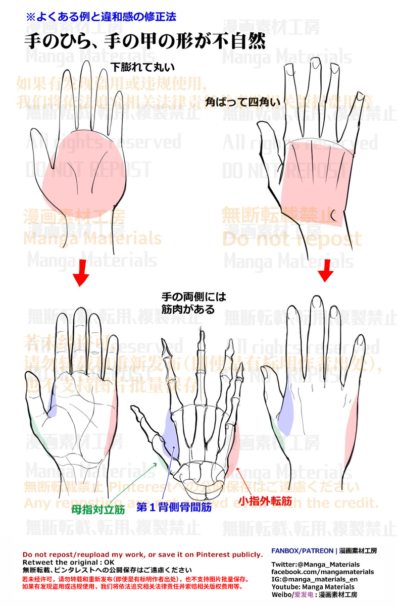 個人メモ：手の基本構造