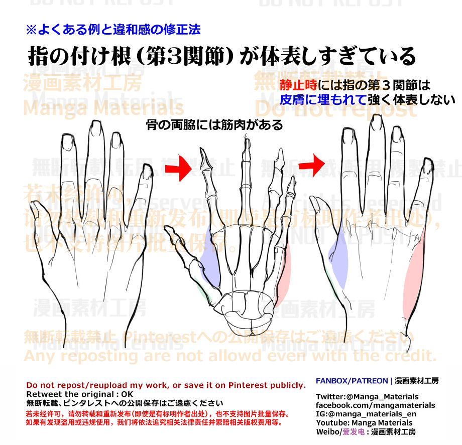 個人メモ：手の基本構造