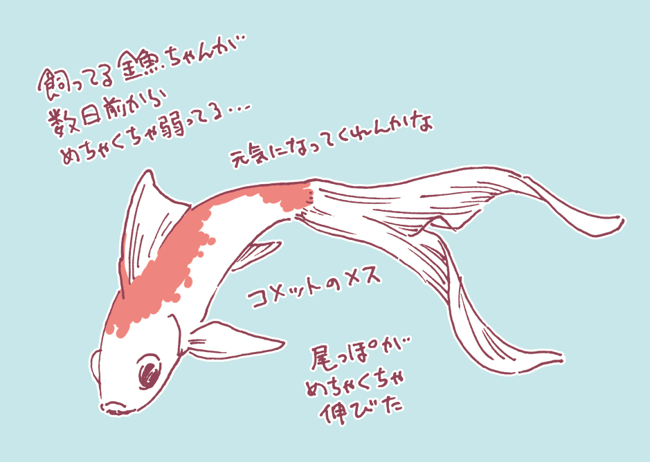 ７月のイラストまとめ
