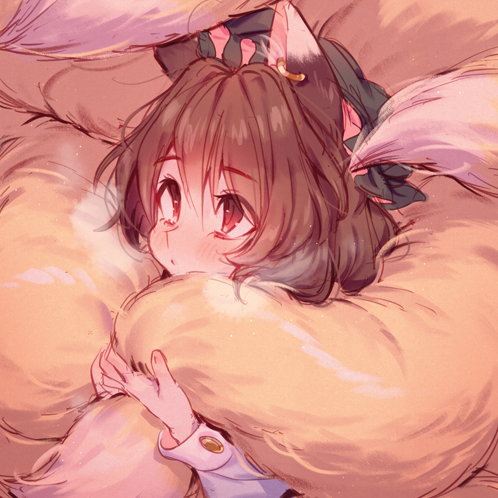 🦊🐈