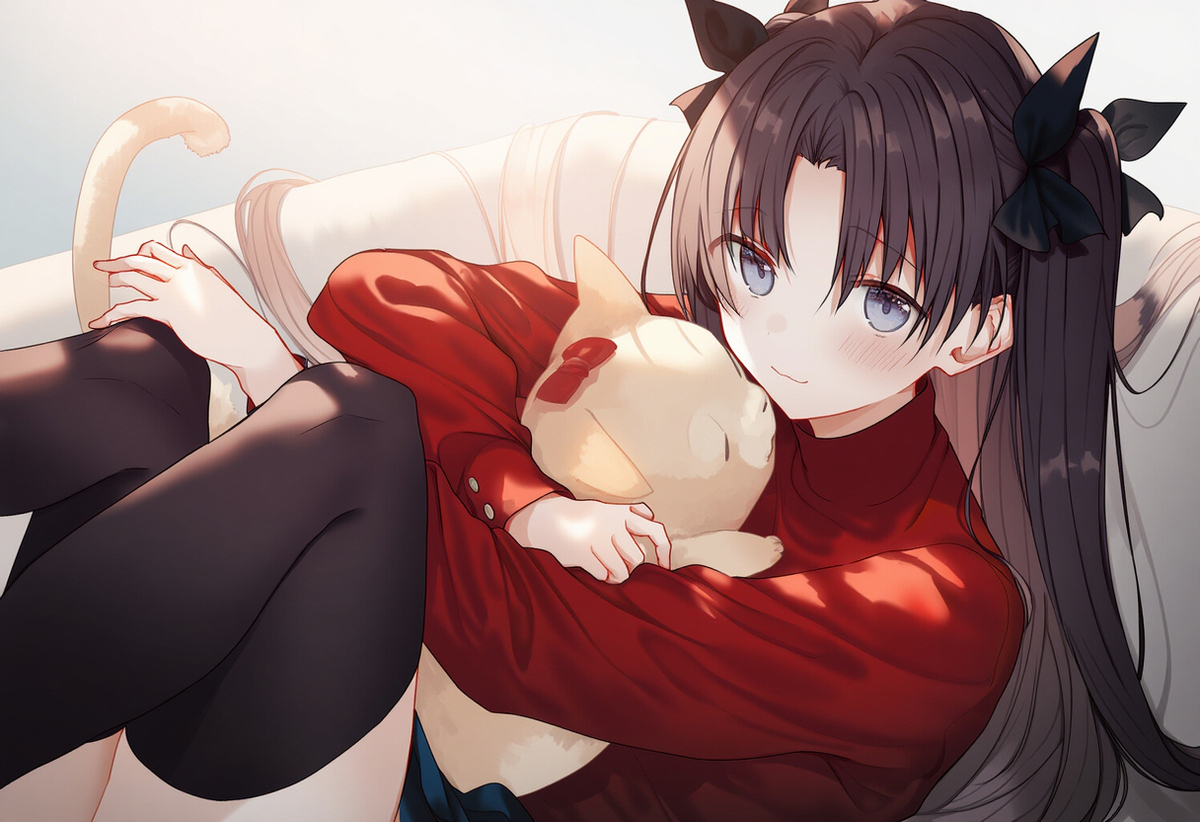 cat