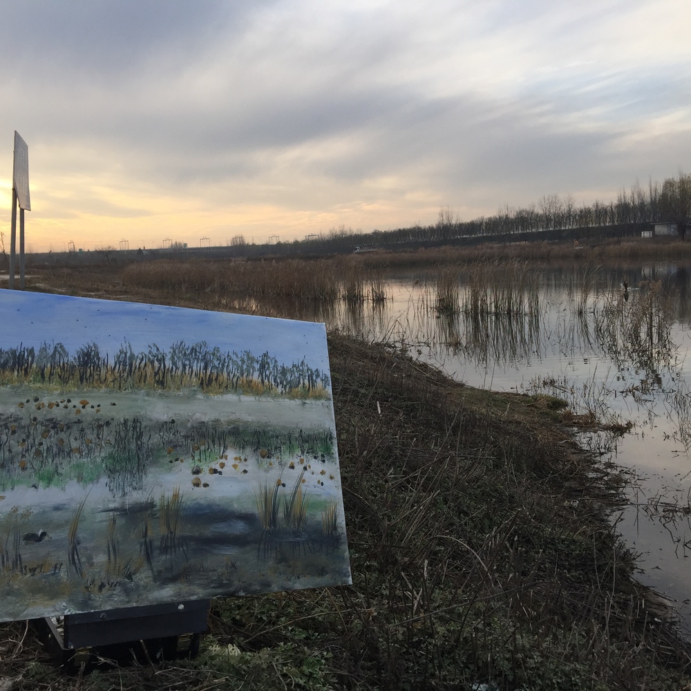清代着名花鸟画家邹一桂在《小山画谱》中写道:&ldquo;今以万物为师,