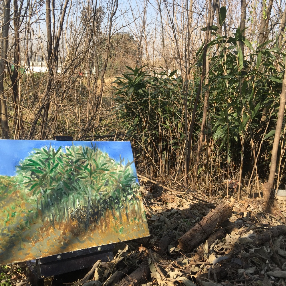 清代着名花鸟画家邹一桂在《小山画谱》中写道:&ldquo;今以万物为师,