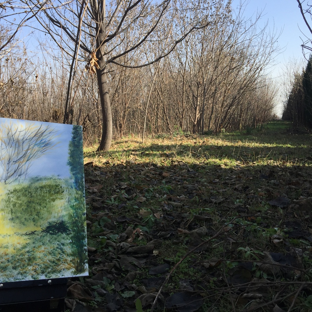 清代着名花鸟画家邹一桂在《小山画谱》中写道:&ldquo;今以万物为师,
