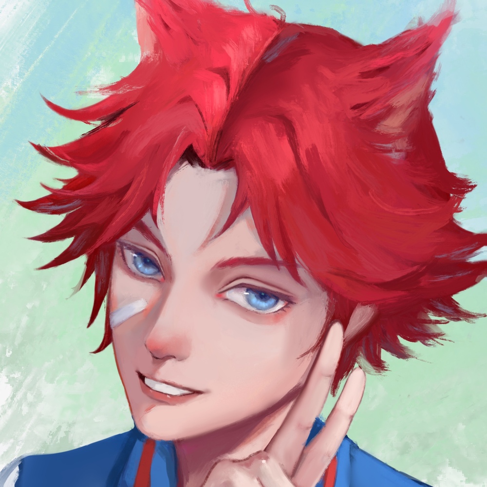 菊丸猫猫