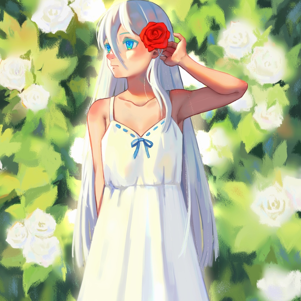 夏日玫瑰