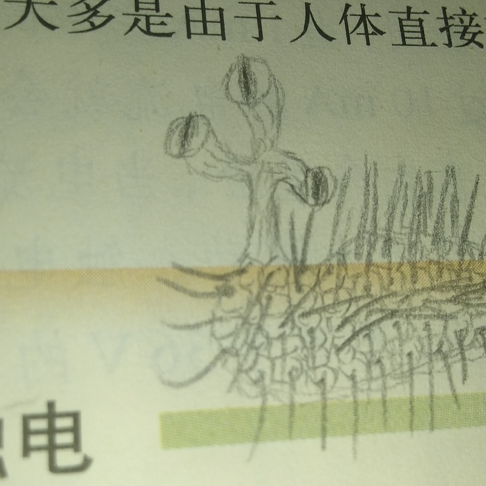 画了一个学期的画，感觉自己像个废物（4）【物理版】