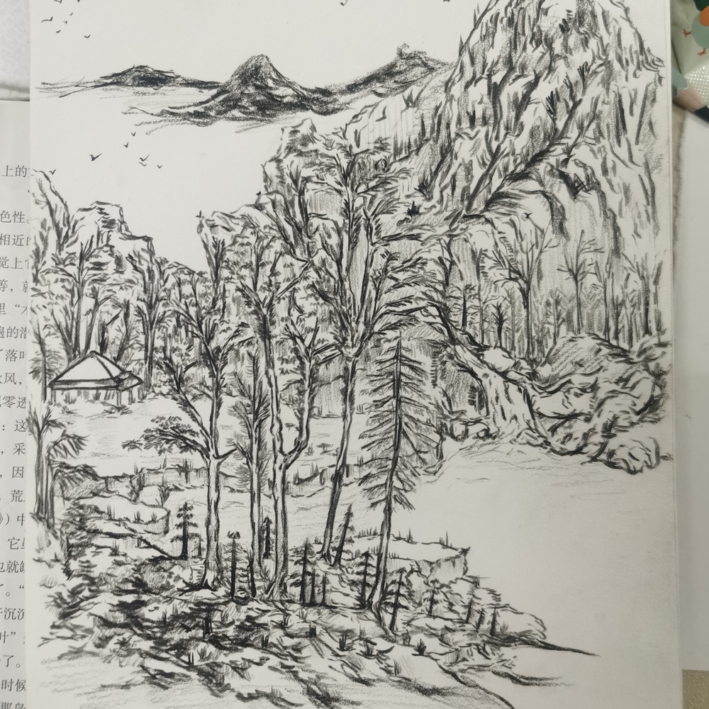  摸鱼（2）