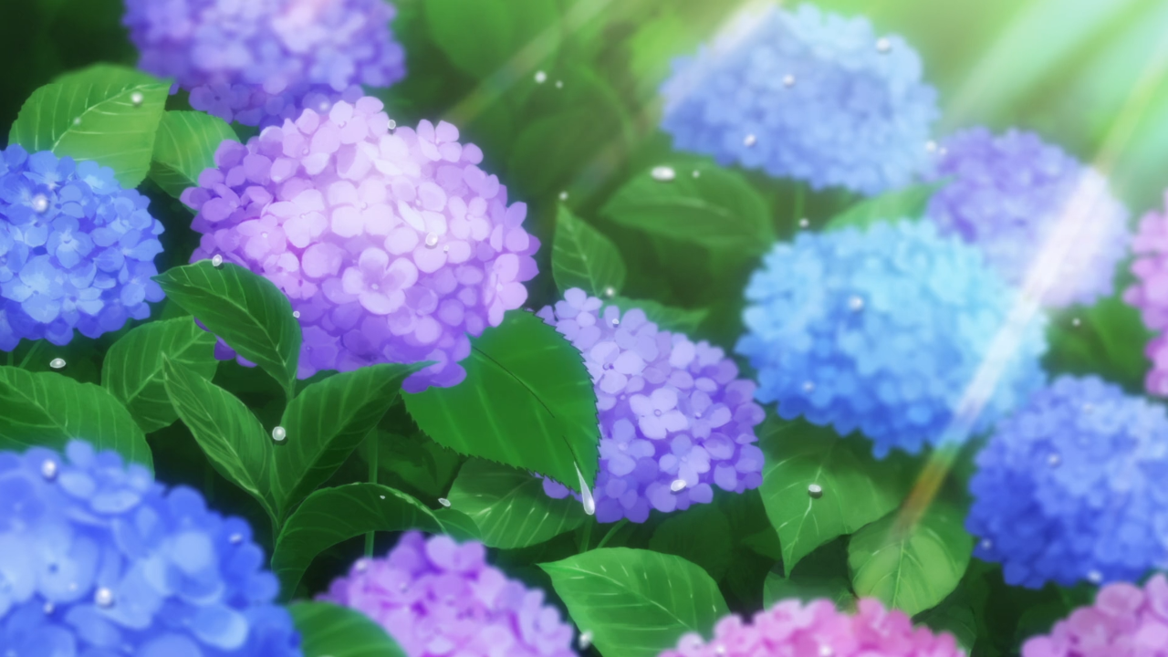 雨后鲜花