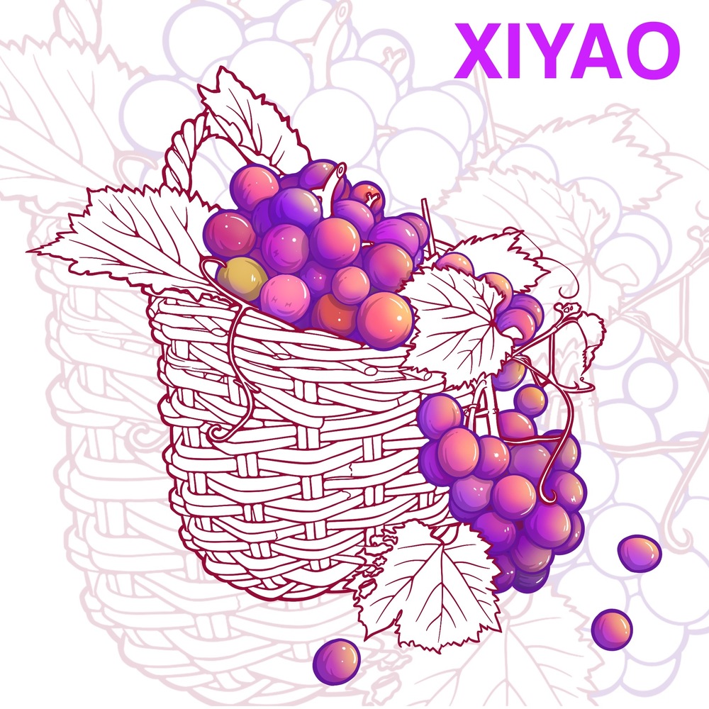 iPad 国潮插画｜葡萄🍇