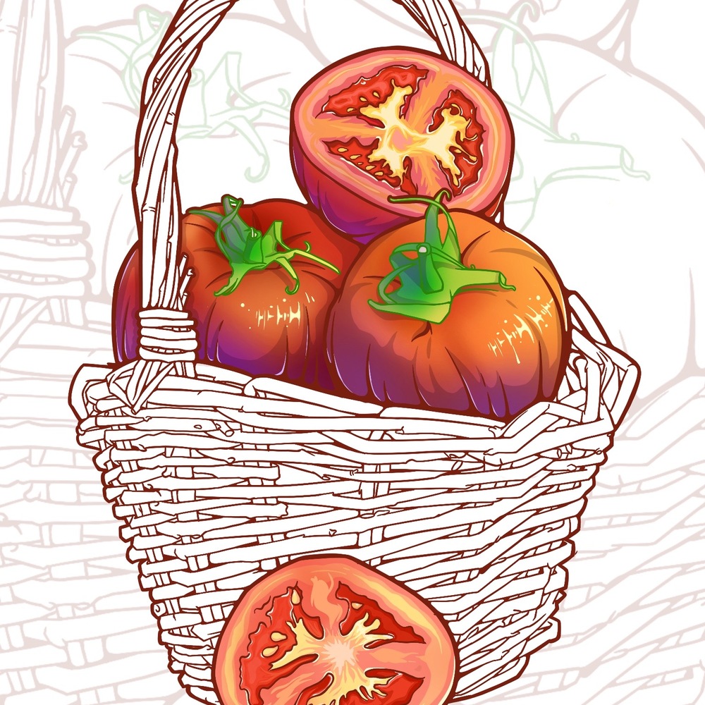 iPad 国潮插画｜西红柿🍅