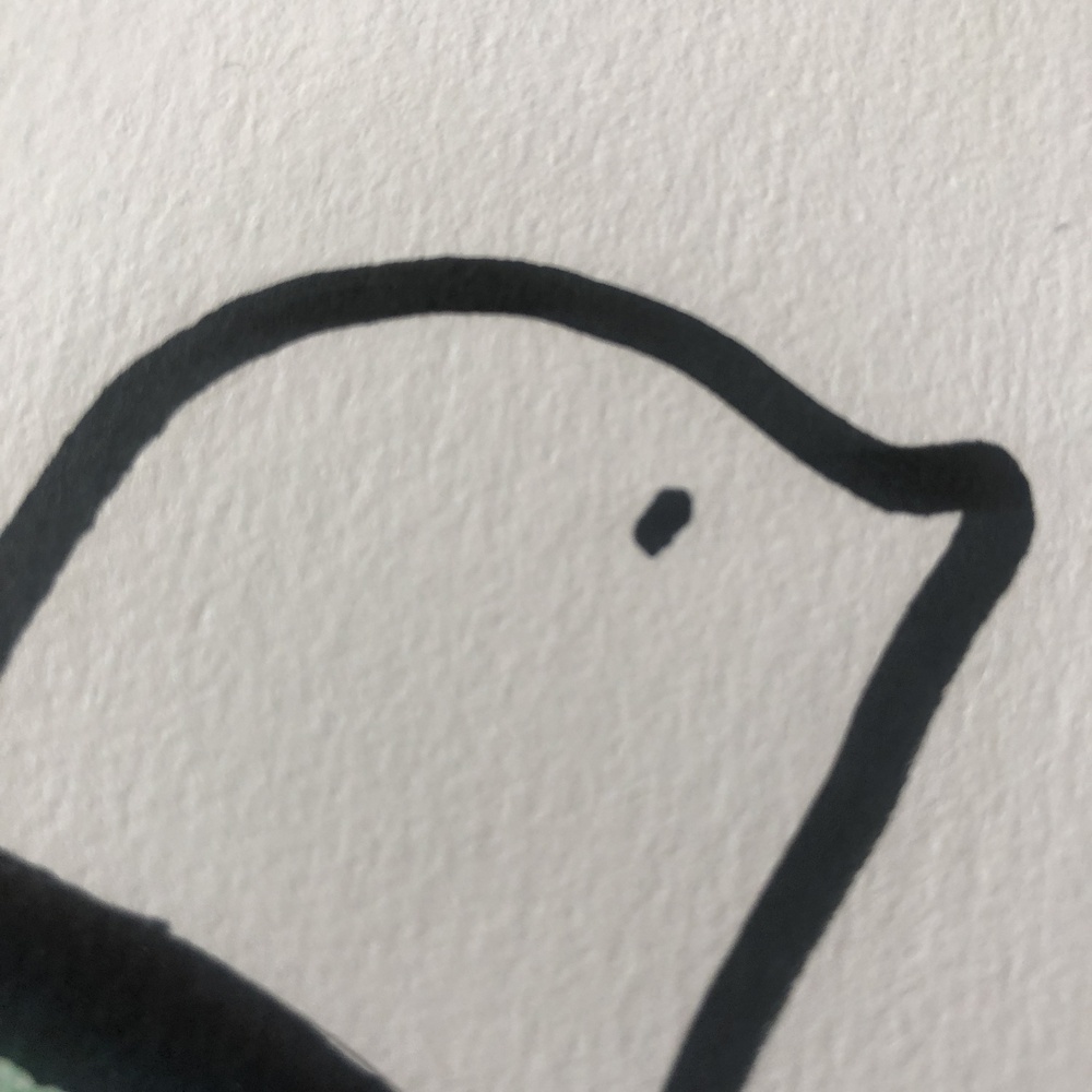 山海经·神兽篇·付鸟