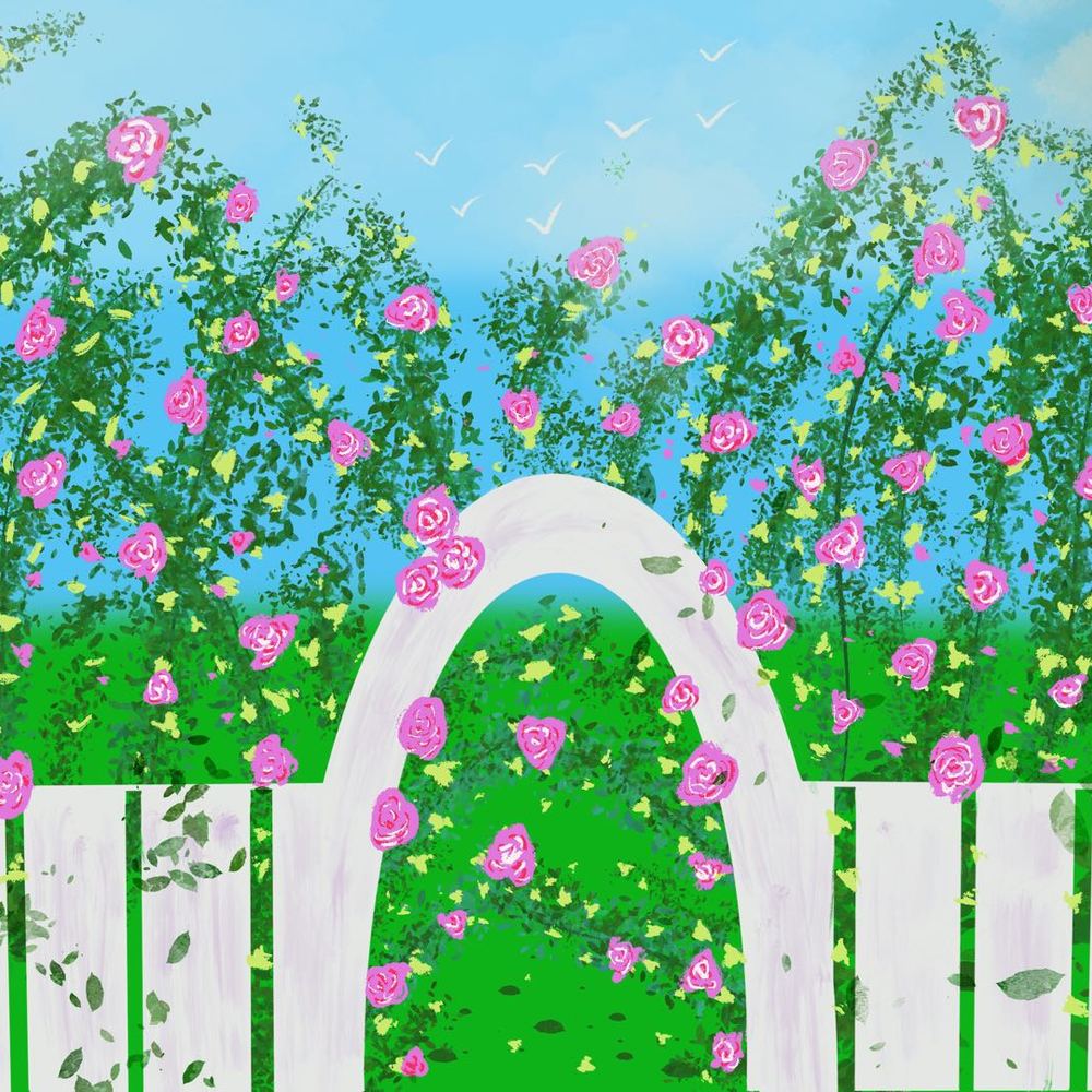 练习作品