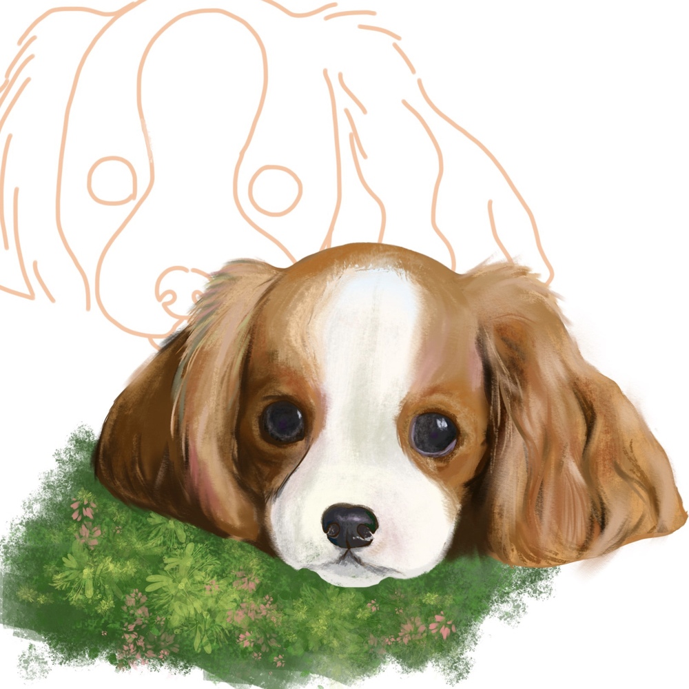 风格插画