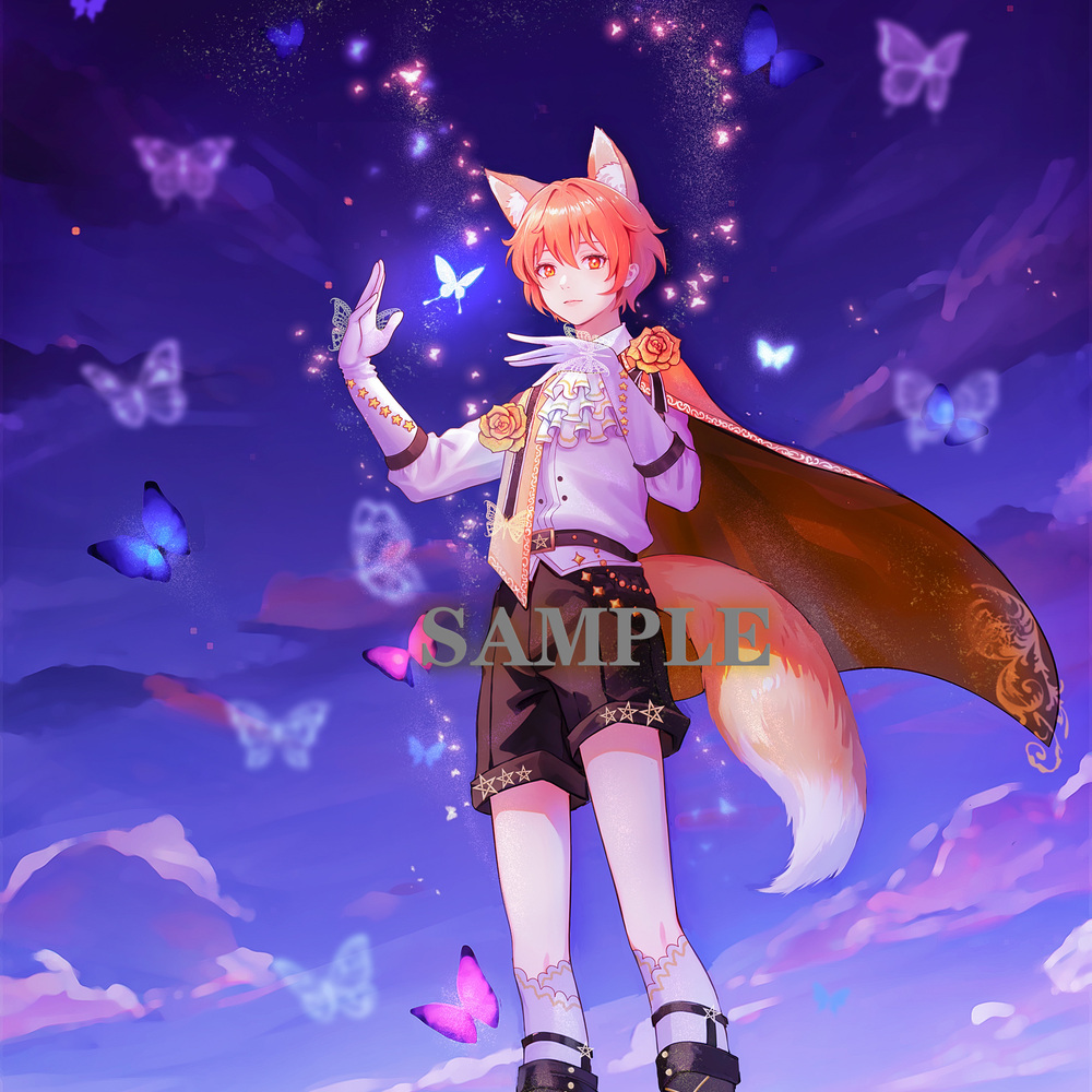 The Little Prince's Dream