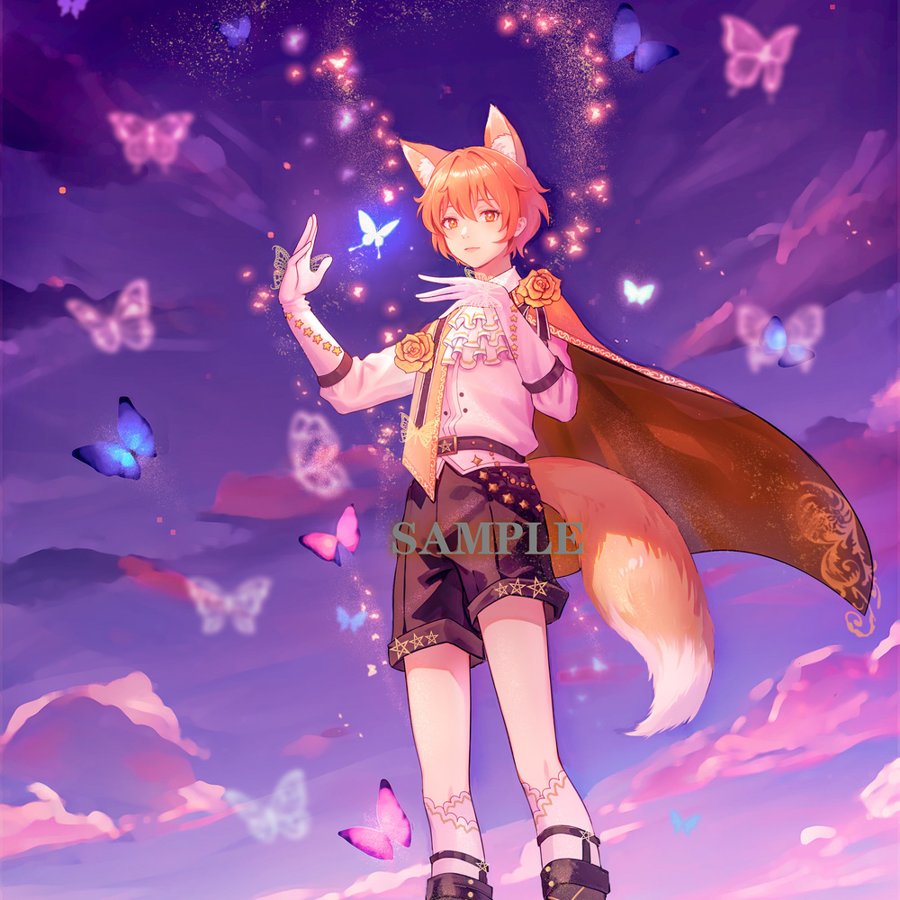 The Little Prince's Dream