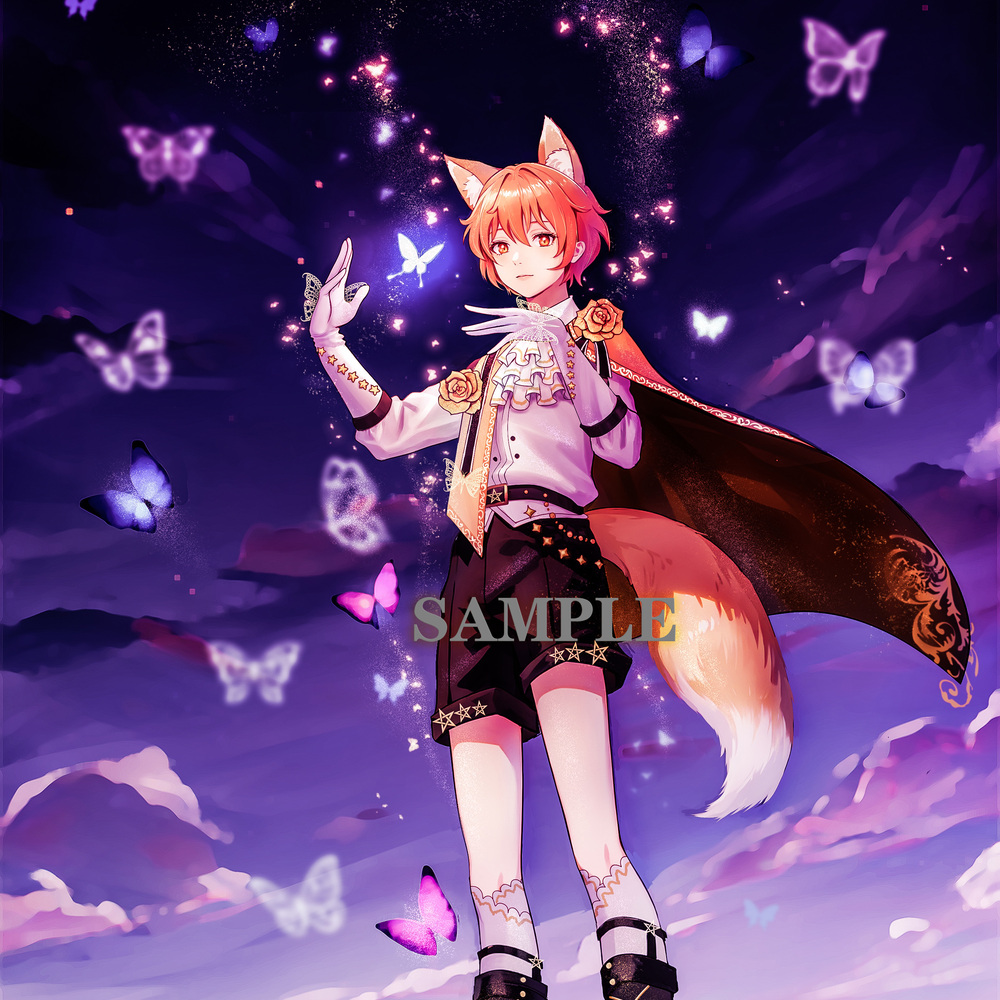 The Little Prince's Dream
