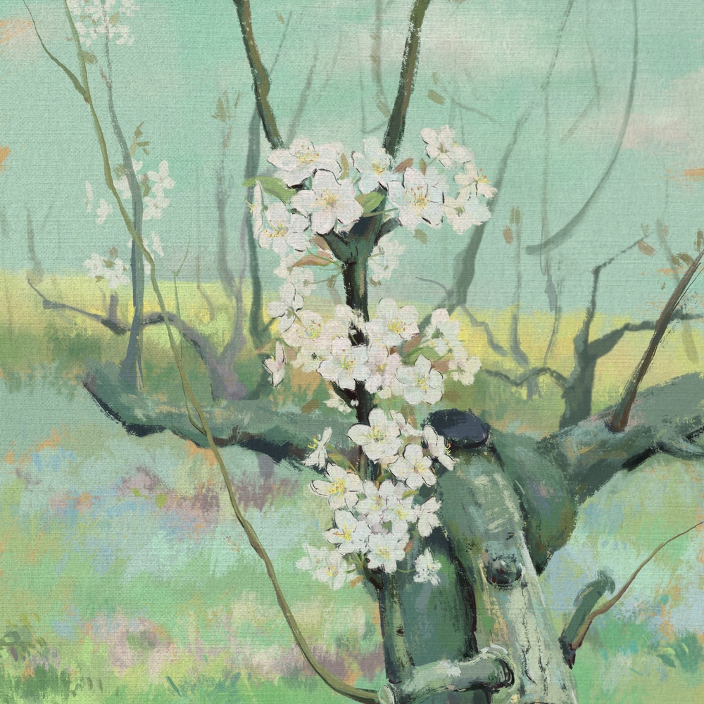 iPad绘画｜风景