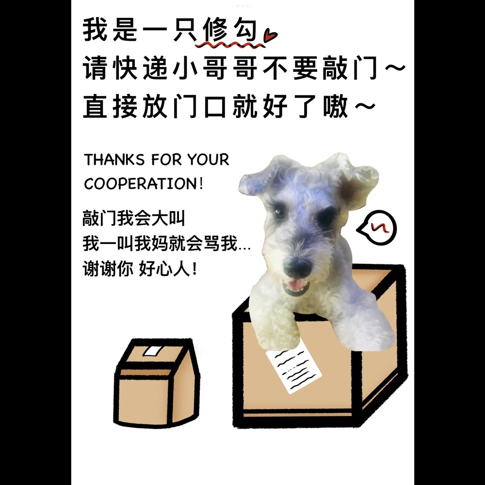 定制定制