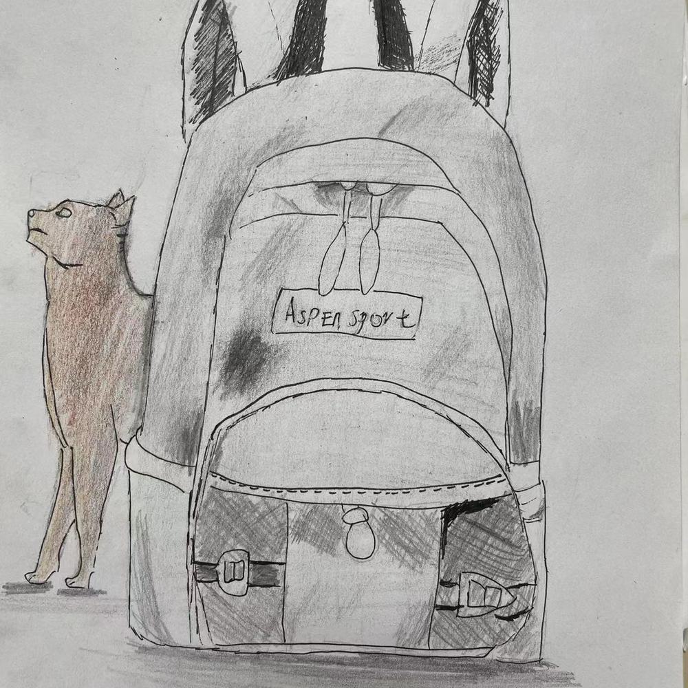 猫与书包